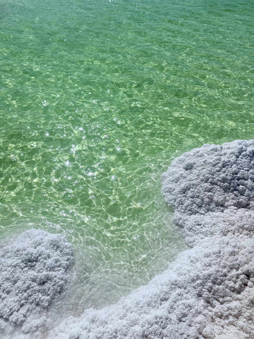 察尔汗盐湖 请你喝 冰萃青提 🧊