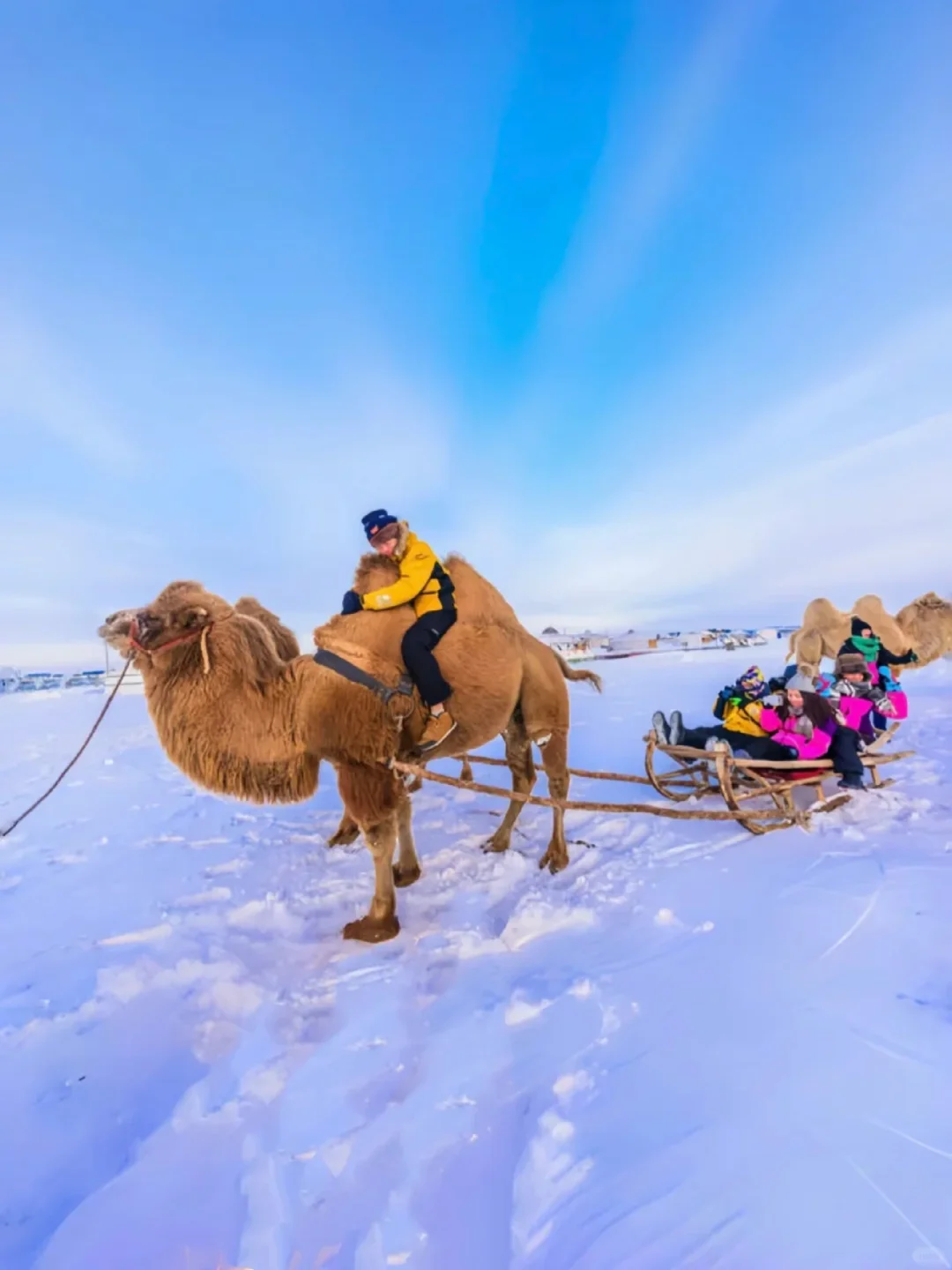 尔滨对不起😭是乌兰布统玩雪太有性价比了