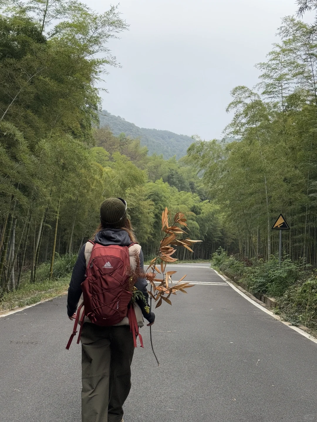 送你一份秋日免费礼物，进山去捡秋🍂