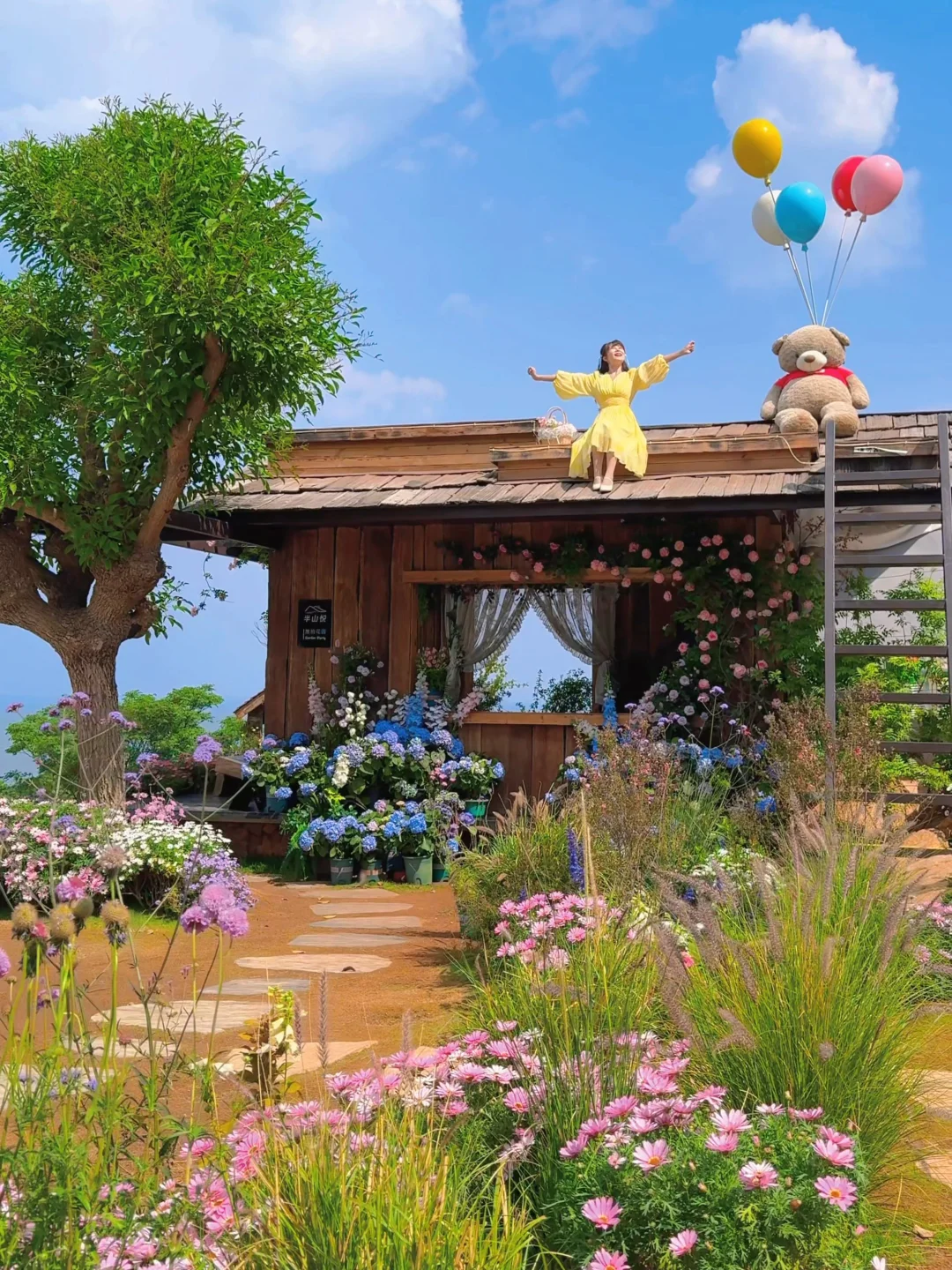 这辈子都舍不得删的live图🌿