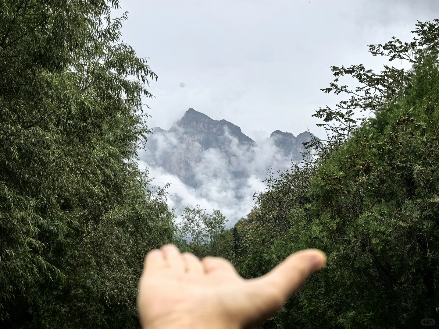 七步沟 | 雨后云雾是最好的滤镜