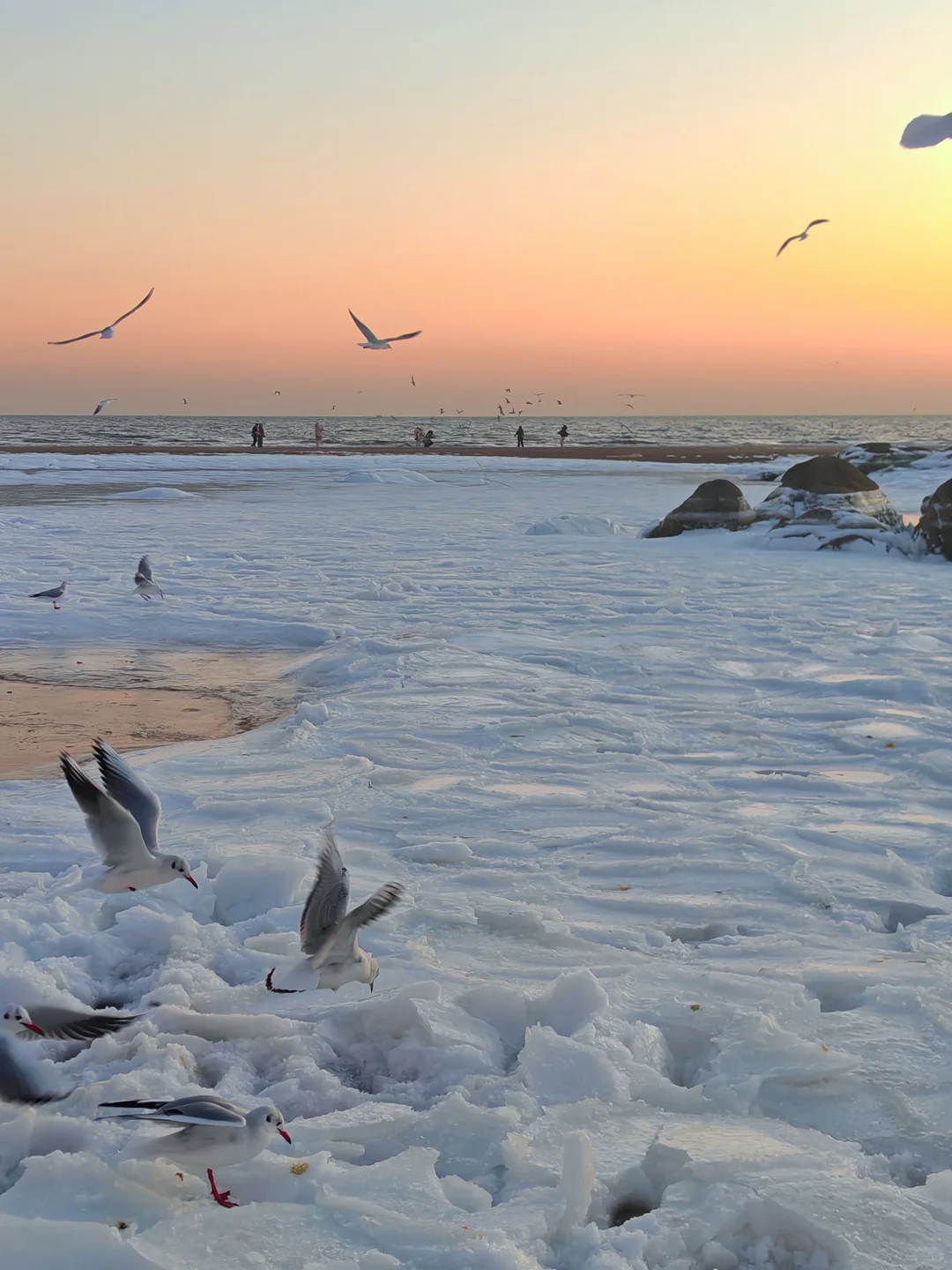下个月一起去秦皇岛看冰河世纪‼️