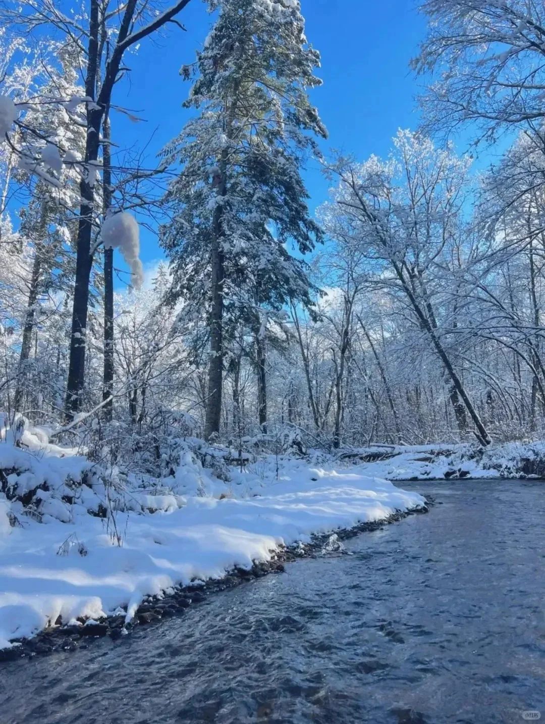 11.28📍长白山+延吉已回，说点xhs上没有