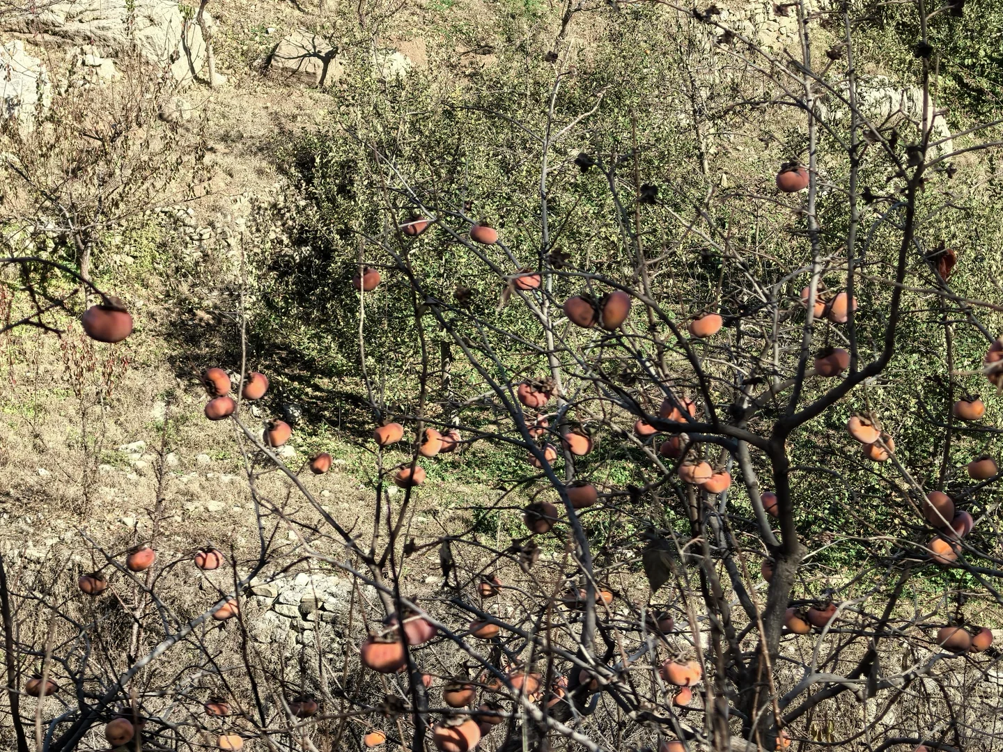 邯郸爬山：体验征服佛照山的一天