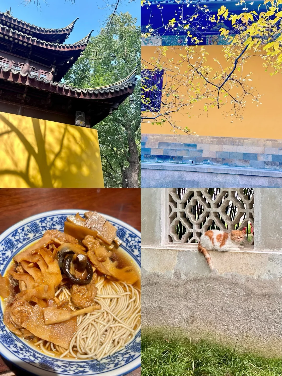 苏州两日游人均400💰精华版攻略（附文字版