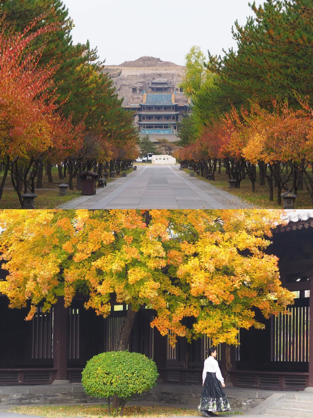 山西大同三日游🍂邂逅秋色与古建