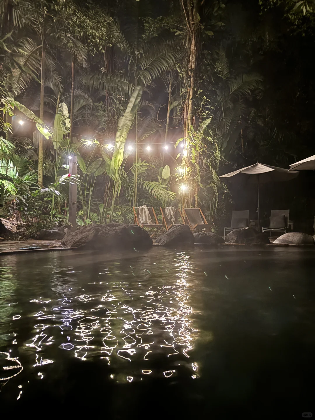 在哥斯达黎加住进了热带雨林是什么感受！