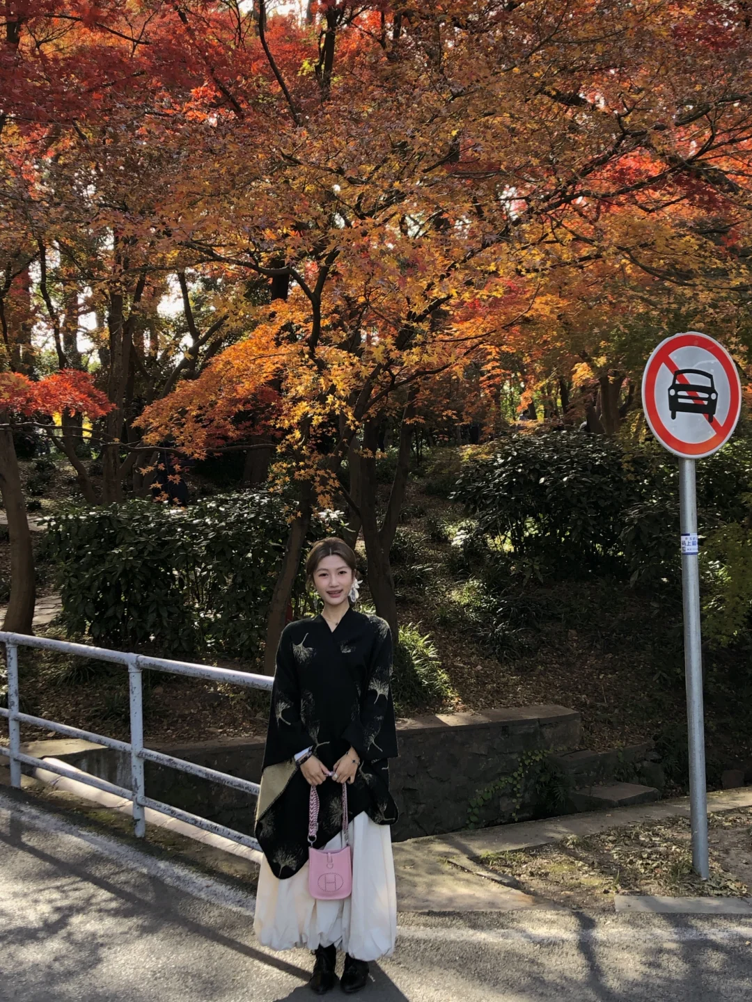 11.28实况！不在京都 在南京🍁枫叶美哭了🥹