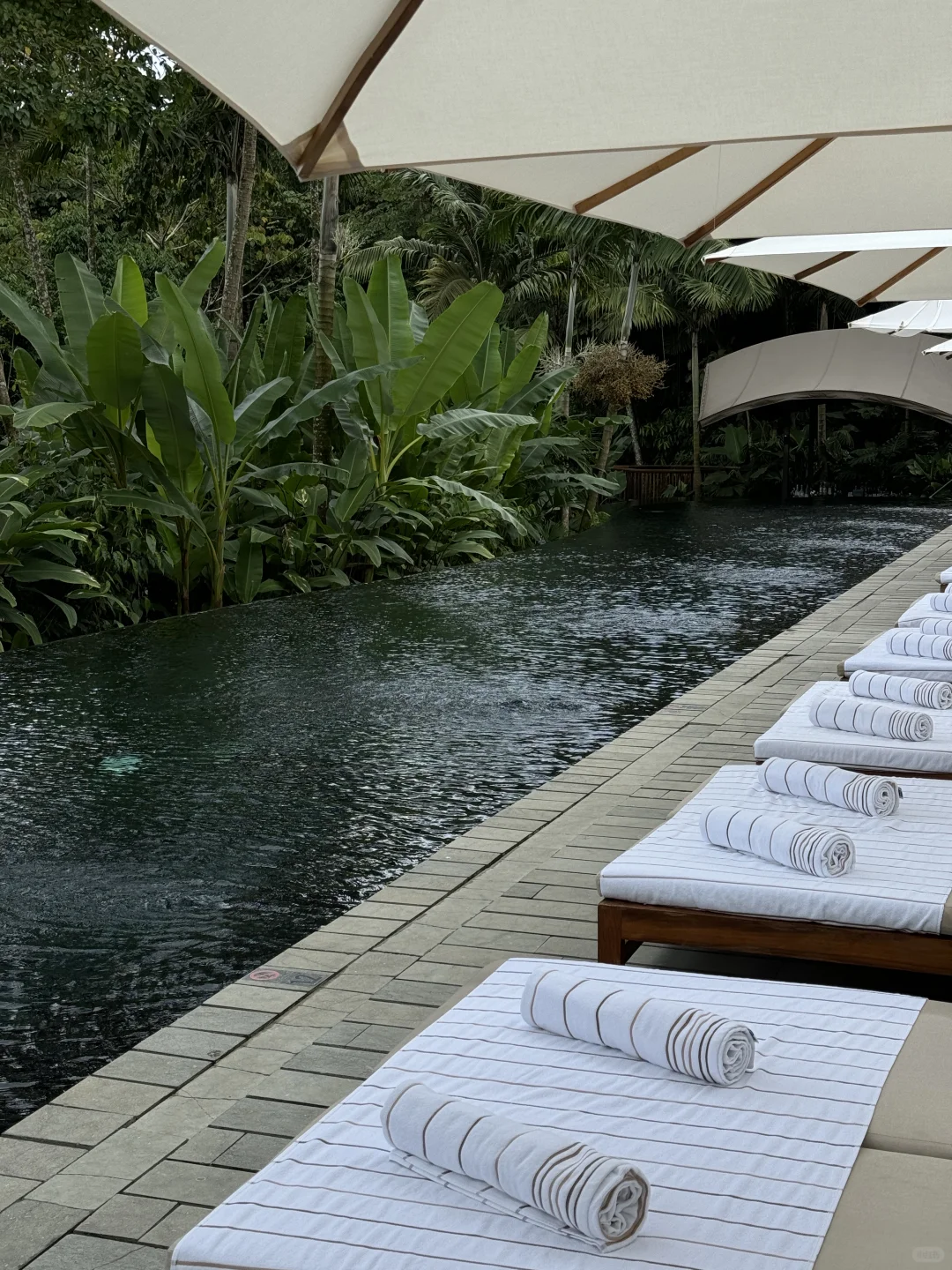 在哥斯达黎加住进了热带雨林是什么感受！