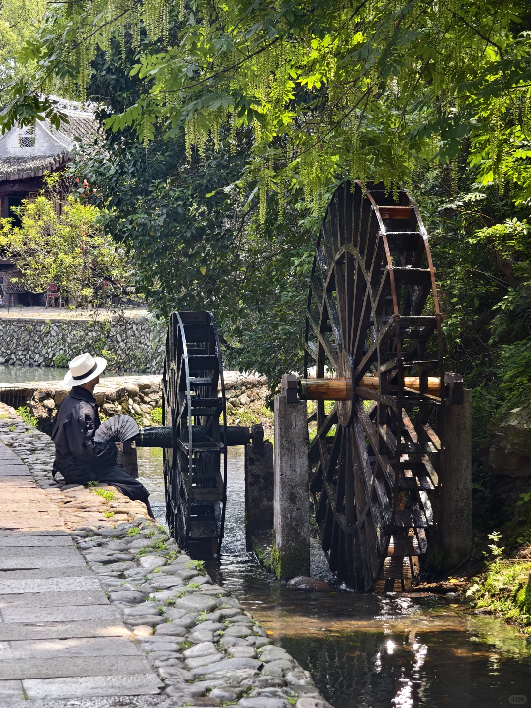 live图我宣布！小红书跟风打卡最成功的一次