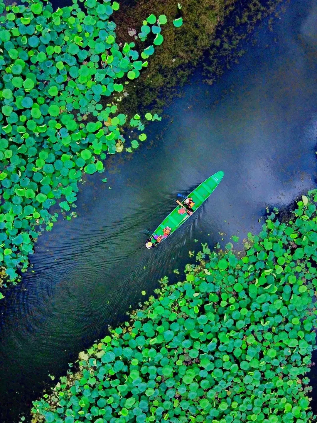 云南小众旅游地推荐✨人均1k+💰吃住全含