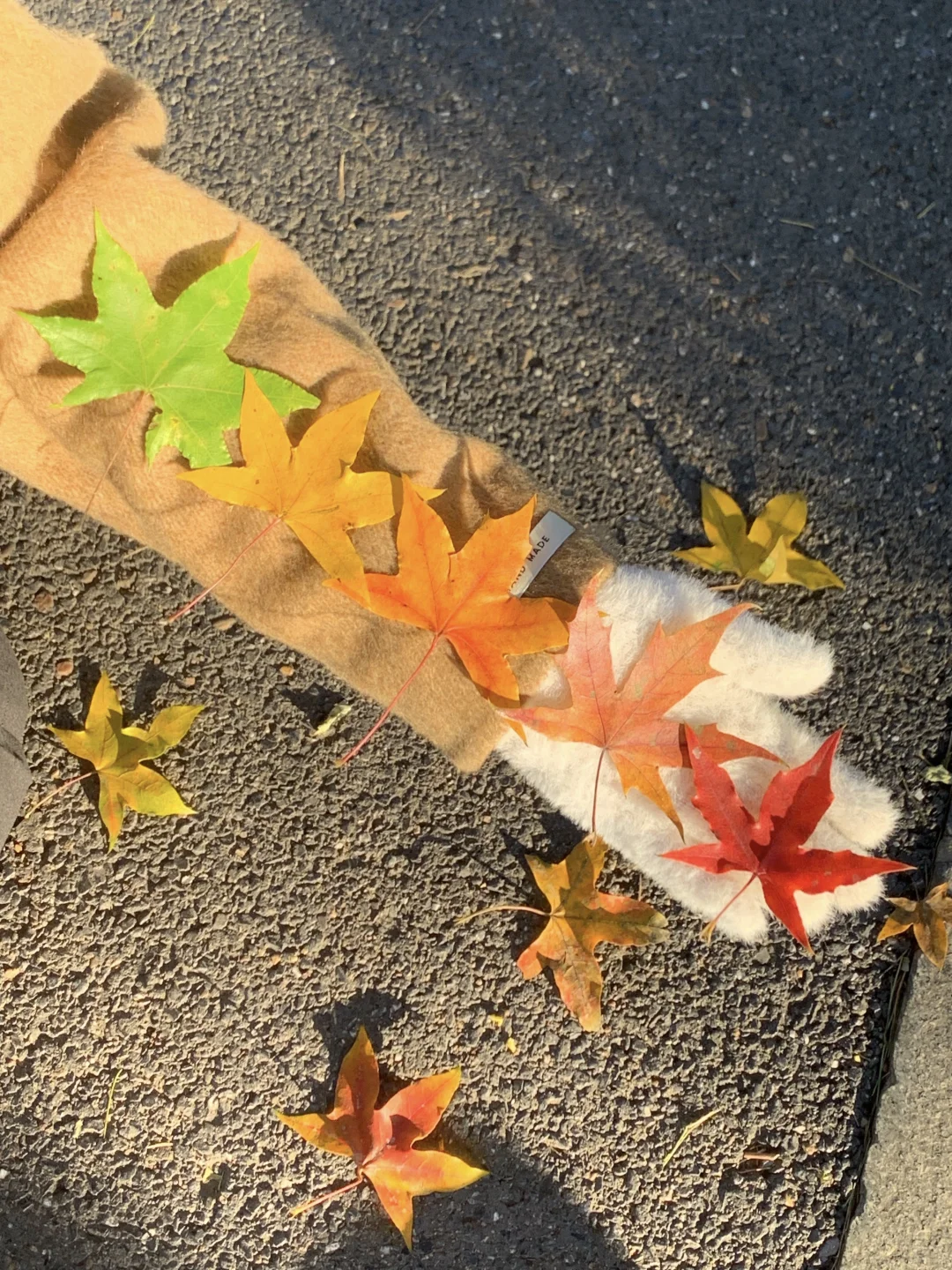 Live实况！来大连拍到了1️⃣8️⃣张人生照片！！