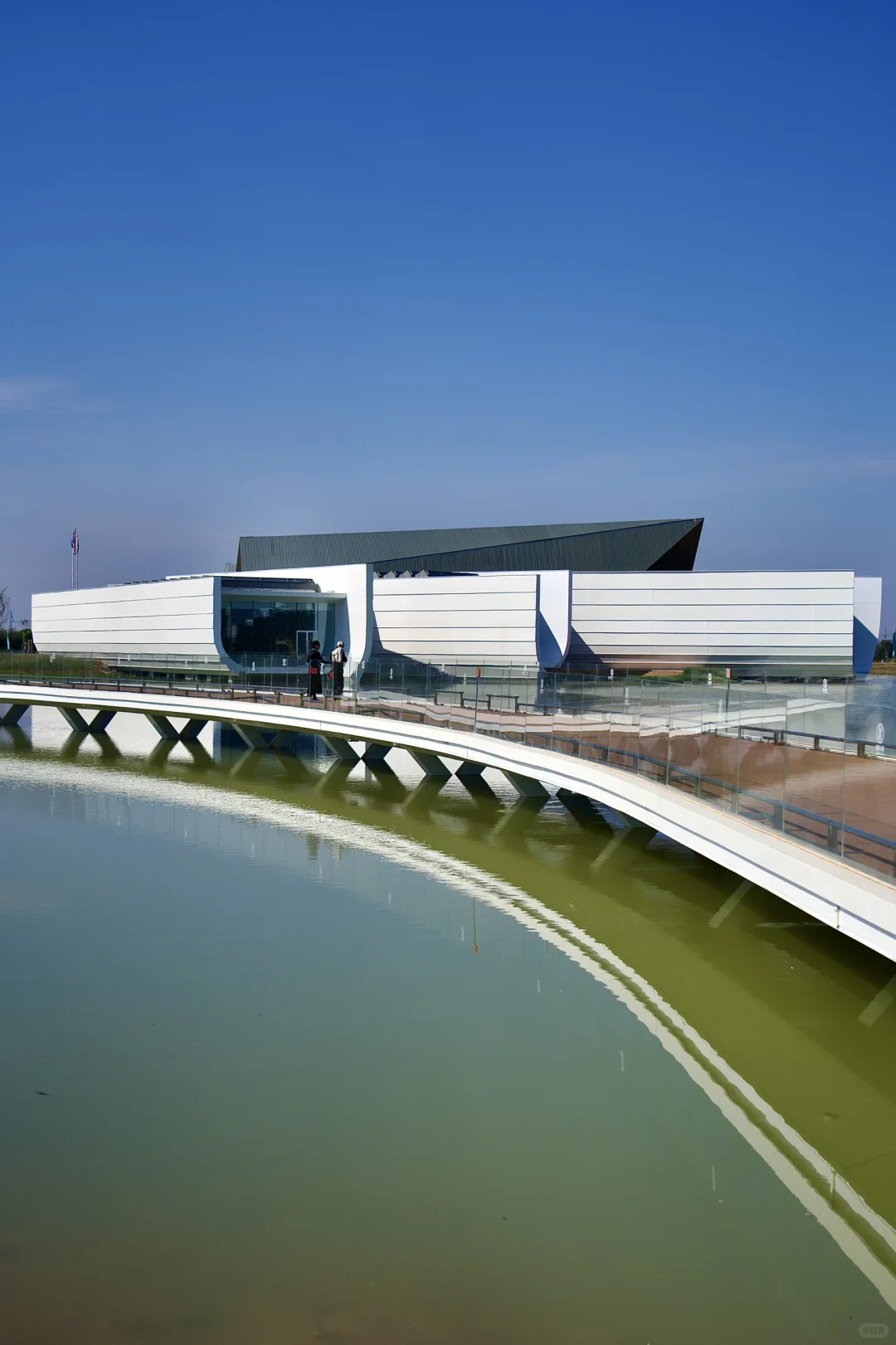 在武汉蔡甸找到了鹿客岛的平替，乌桕树已红