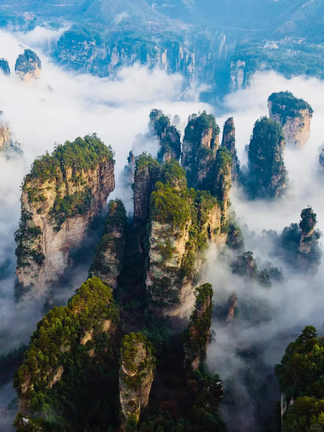 阿凡达取景地超全攻略,这样玩准没错