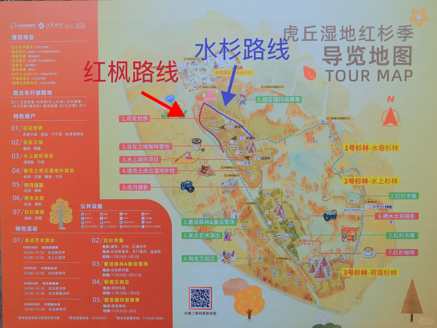 虎丘湿地公园|封神的水杉与红枫🍁,附全攻略