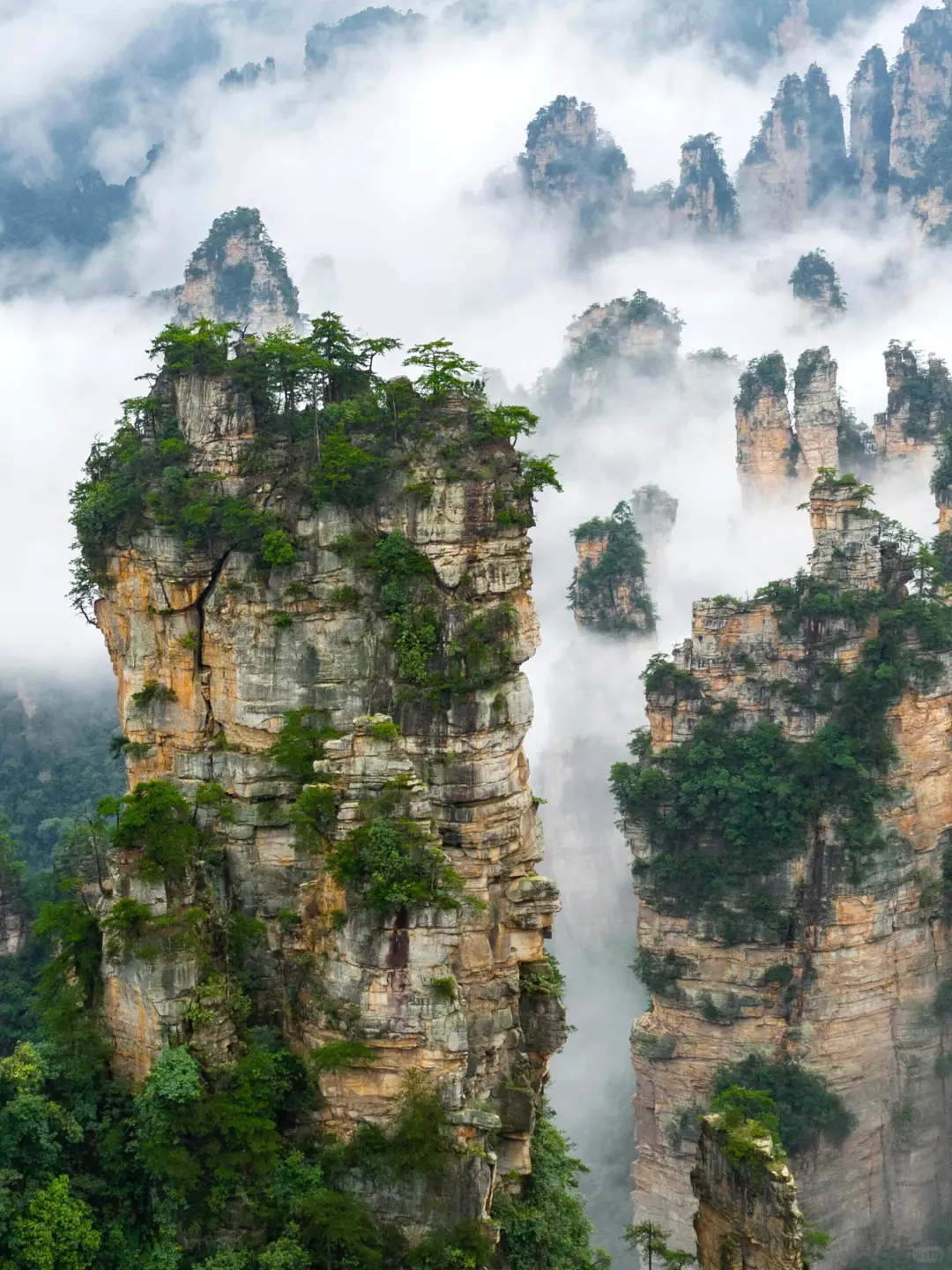 阿凡达取景地超全攻略,这样玩准没错