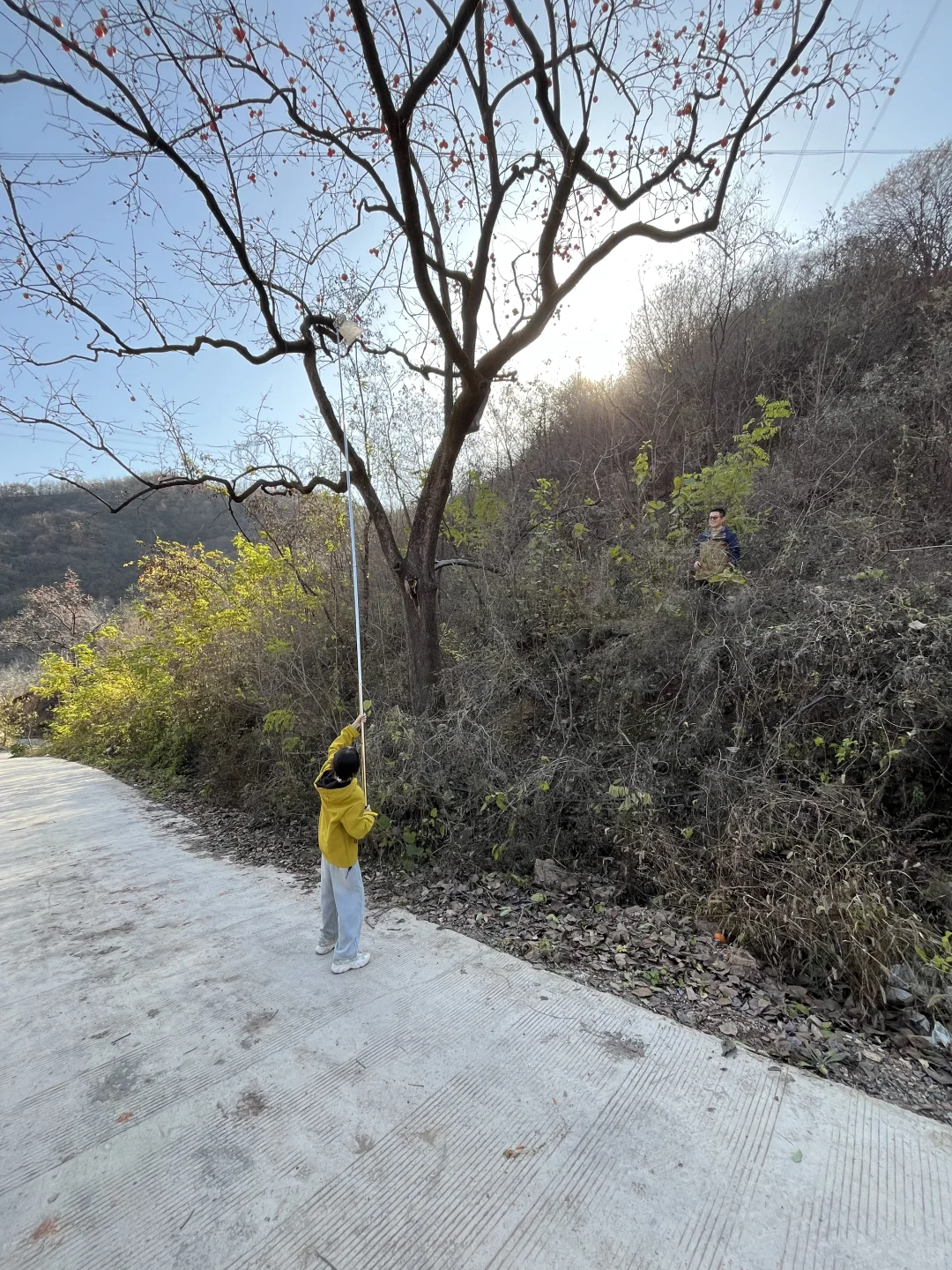 石家庄适合遛娃的景区，淡季人少，景色还美
