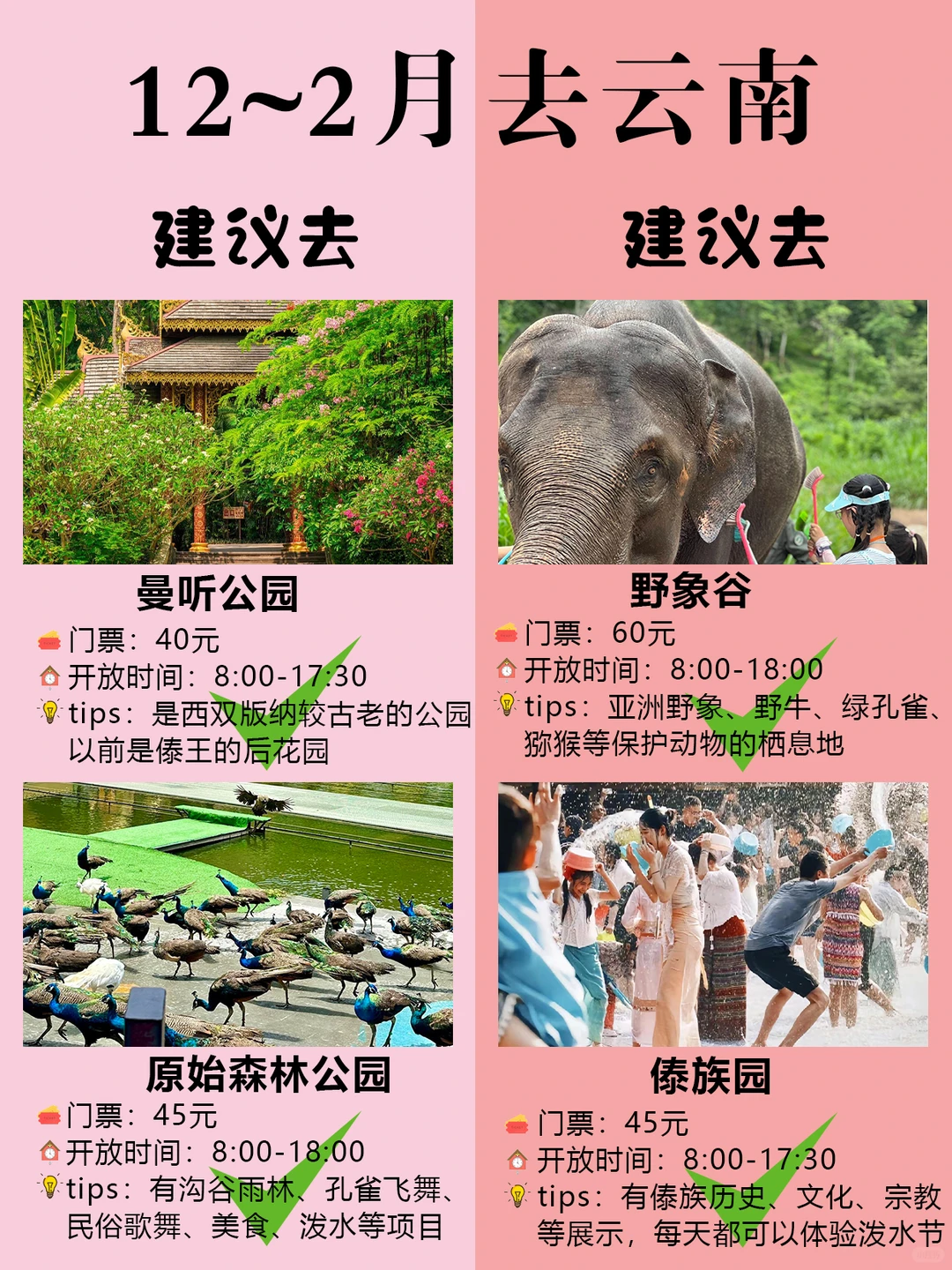 12~2月💡纯玩天花板云南5天💰人均1k+