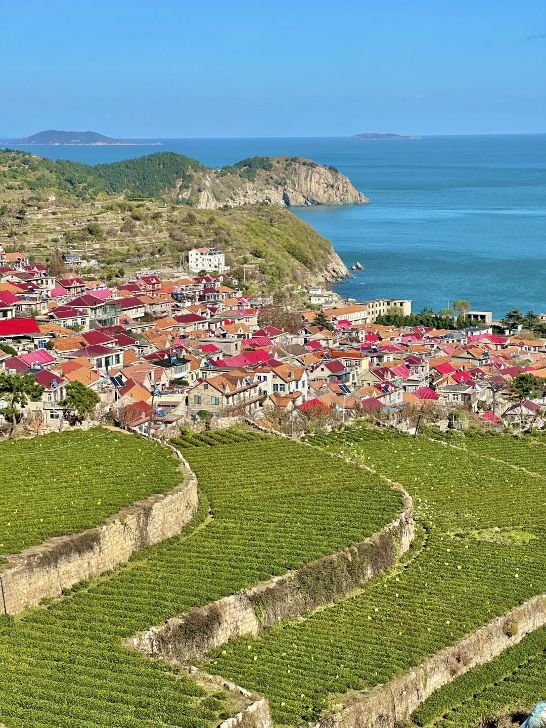 人生建议：去青岛一定要坐次1元环海公交……