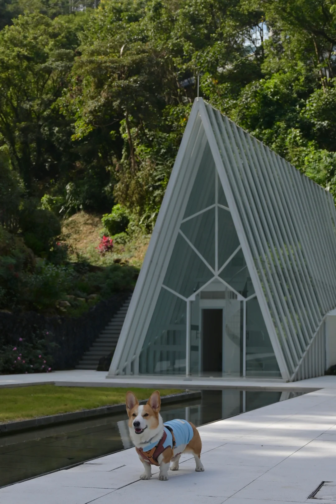 广州从化｜天人山水｜周末遛狗