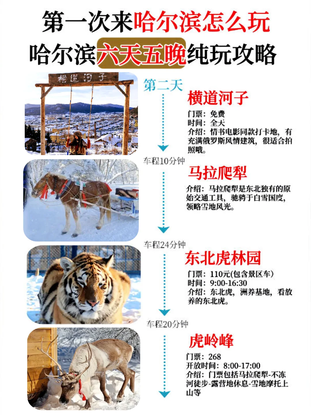 东北旅游攻略看完不后悔~到了哈尔滨怎么玩