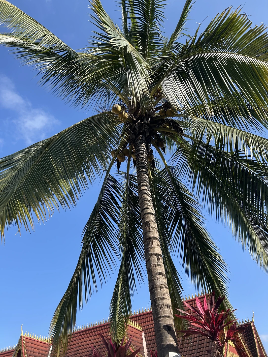 离职西双版纳篇