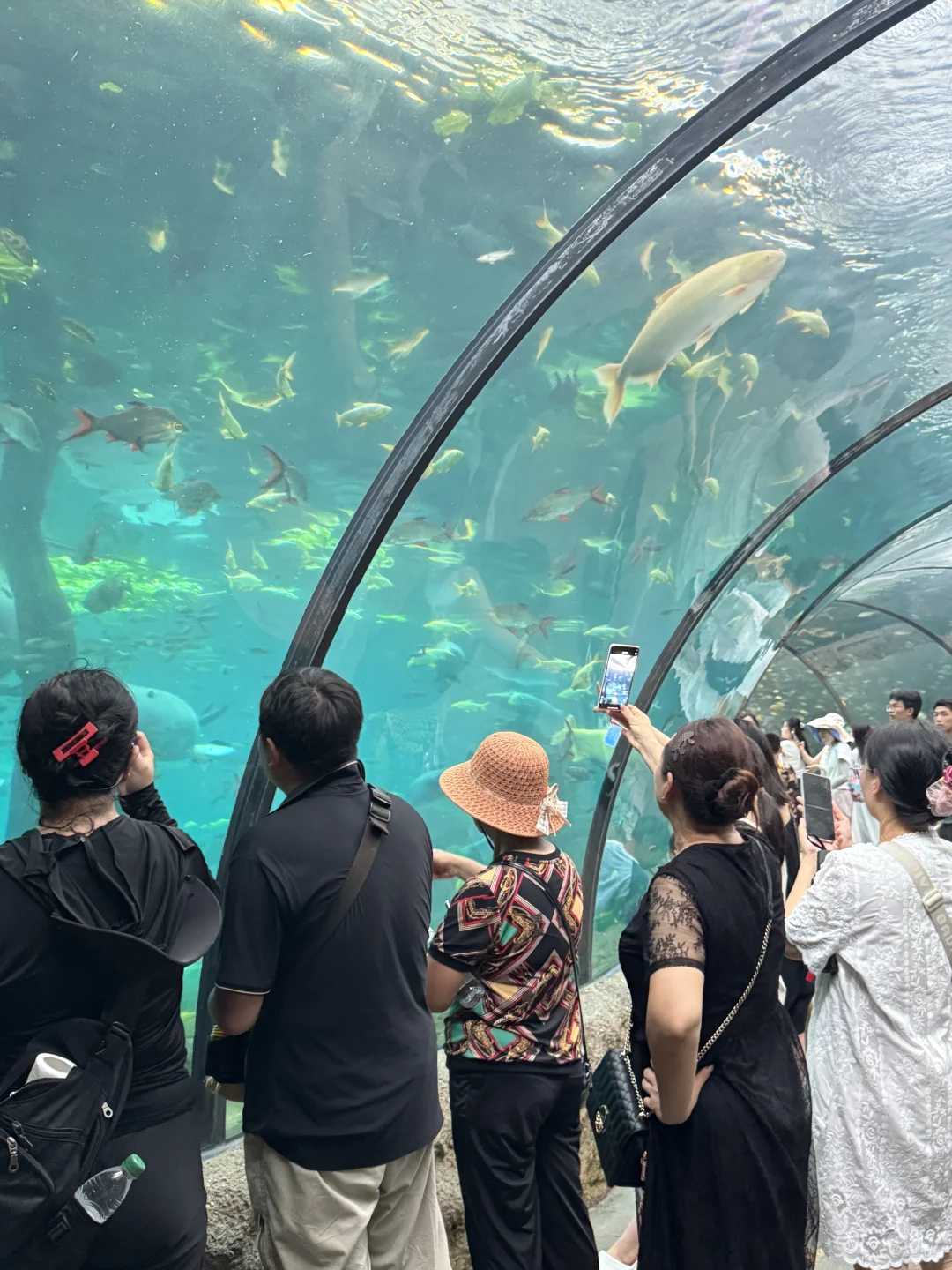 3.8折拿下珠海长隆吃住玩套餐，双11囤好价！