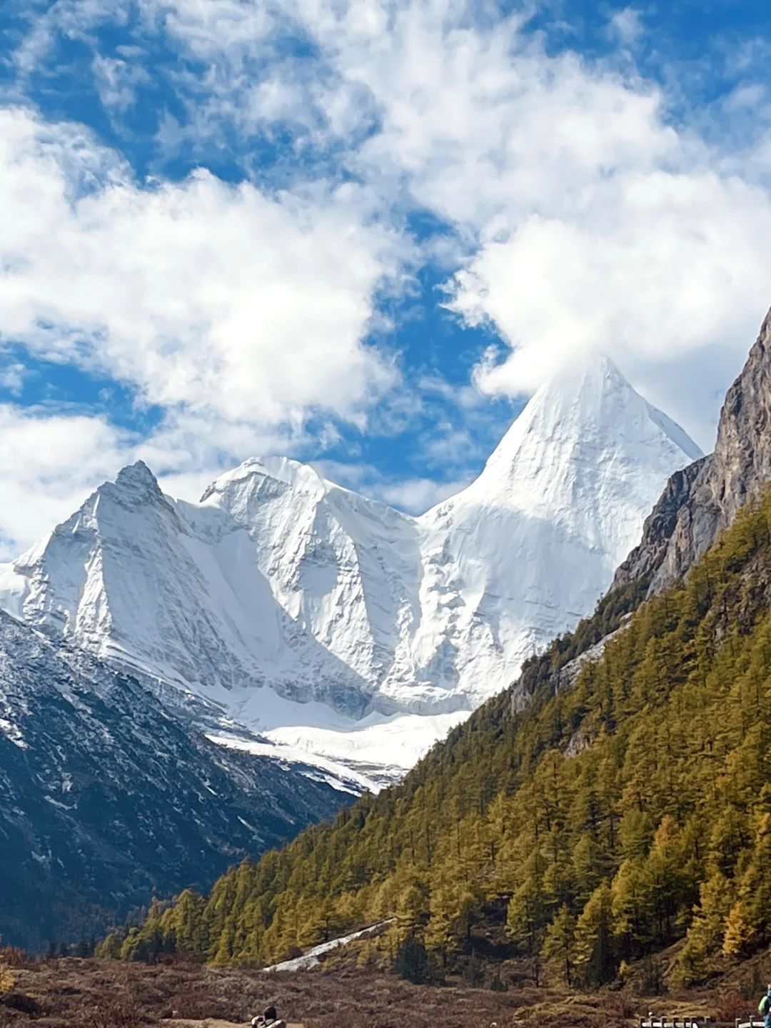 稻城亚丁的秋天，是上帝打翻的调色盘！🏔️