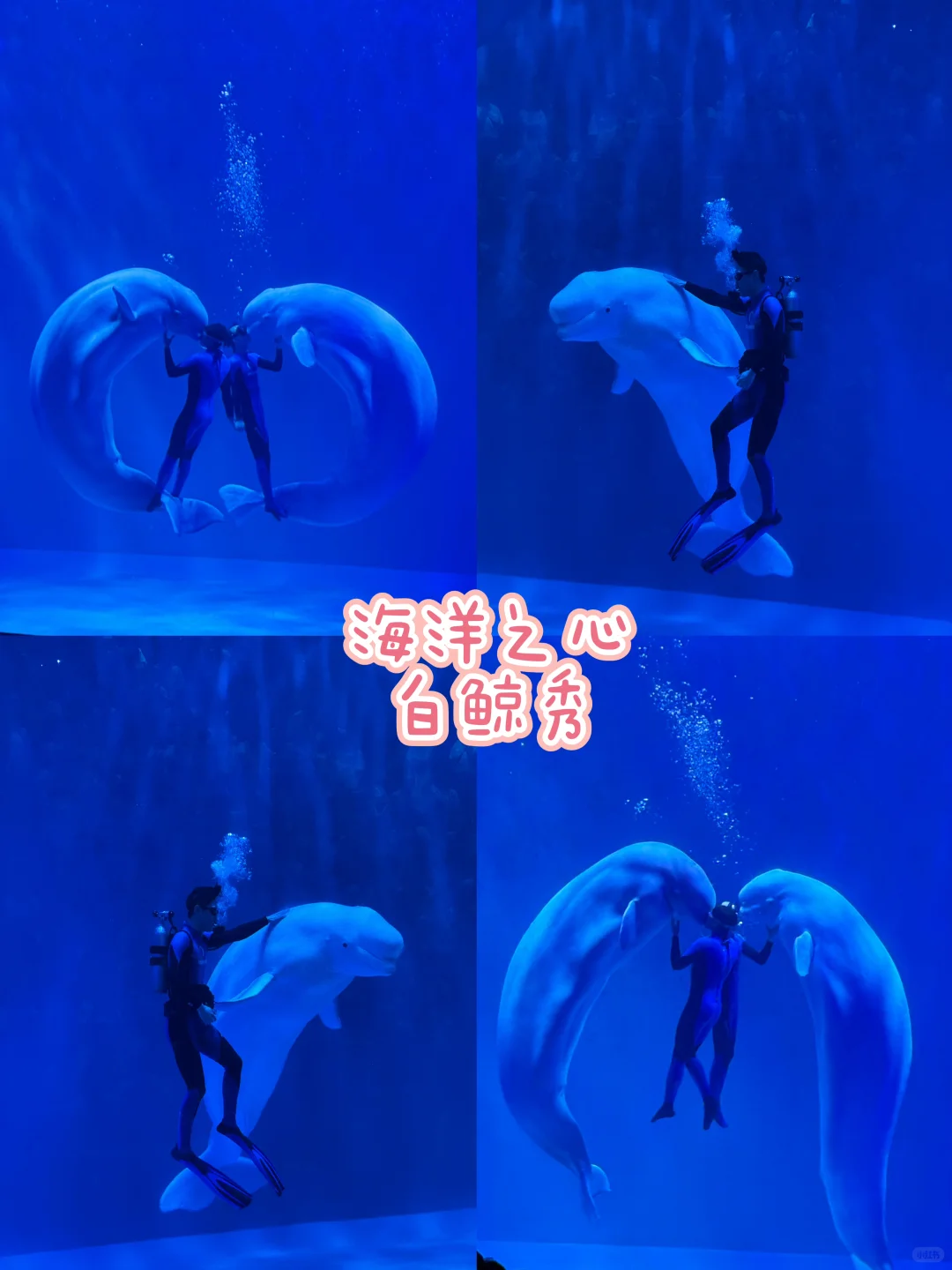 在冰城邂逅冬日童话❄️哈尔滨旅游攻略❗️