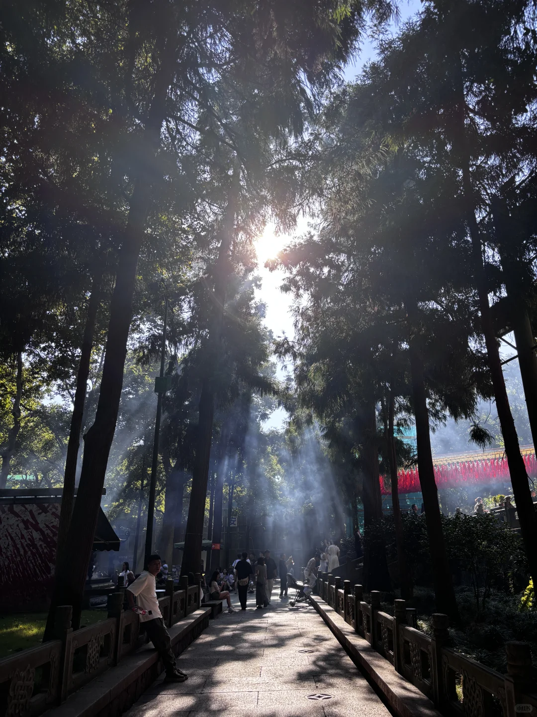 为了这1️⃣8️⃣张照片，特意去了一趟杭州…