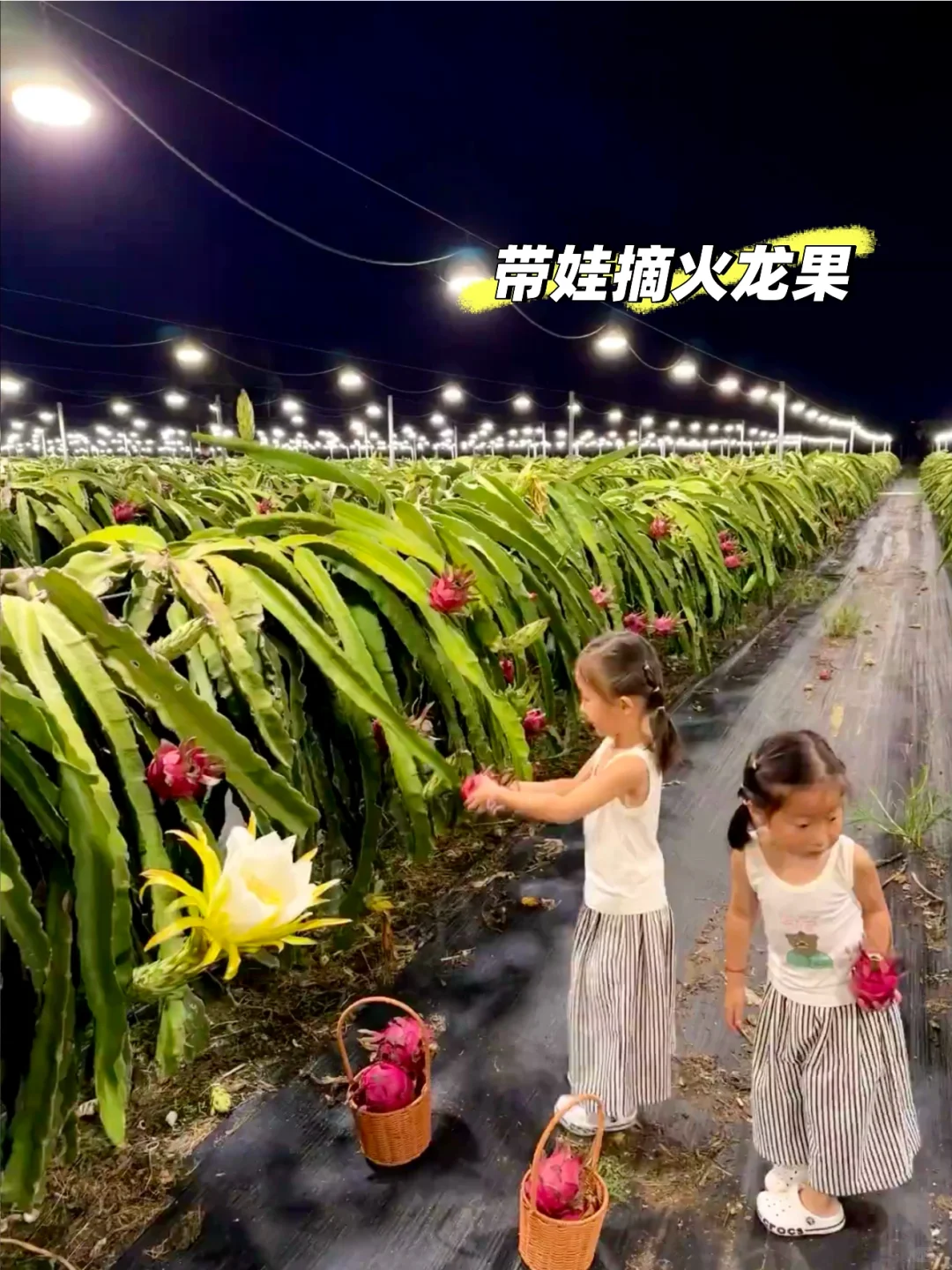 崇左亲子游6天5晚不走回头路（附详细攻略）