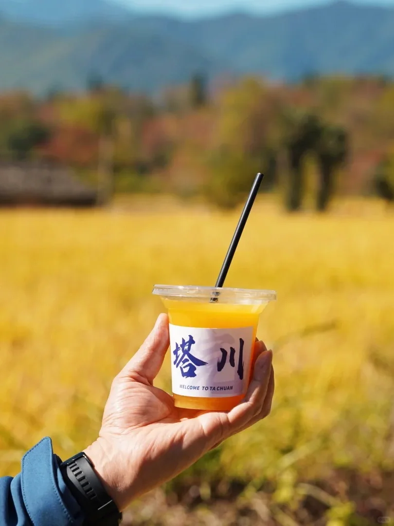 今年11~12月，只带娃去一个地方：徽州赏秋！🤩