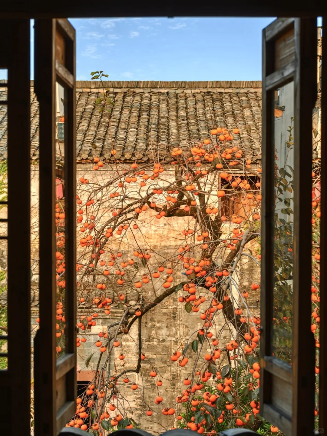 今年寒假我只带娃去一个地方：徽州！