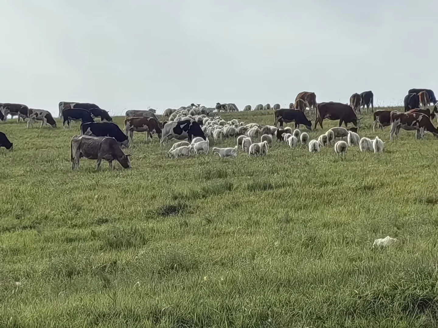 漠河到呼伦贝尔七天六晚旅游线路价格专业规