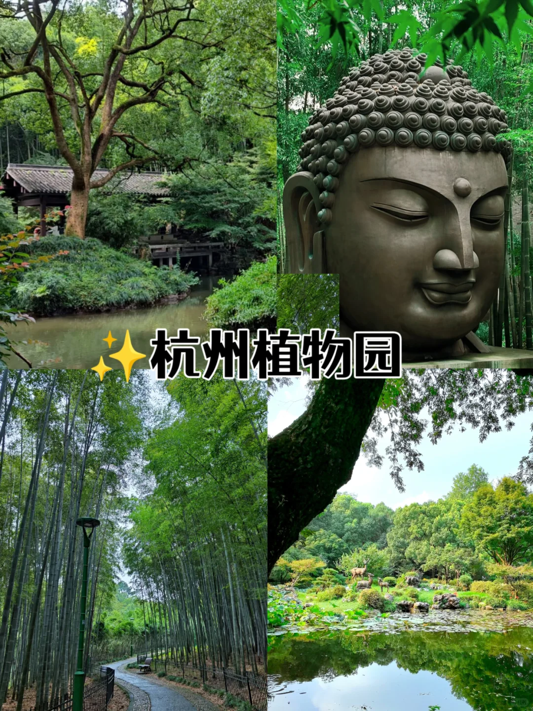 来杭州必打卡🔥的九大景点游玩攻略‼️