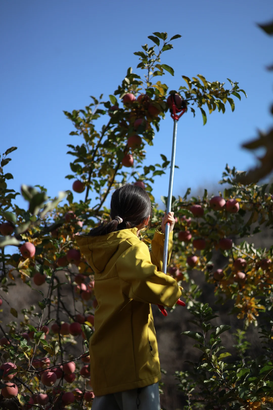 石家庄适合遛娃的景区，淡季人少，景色还美