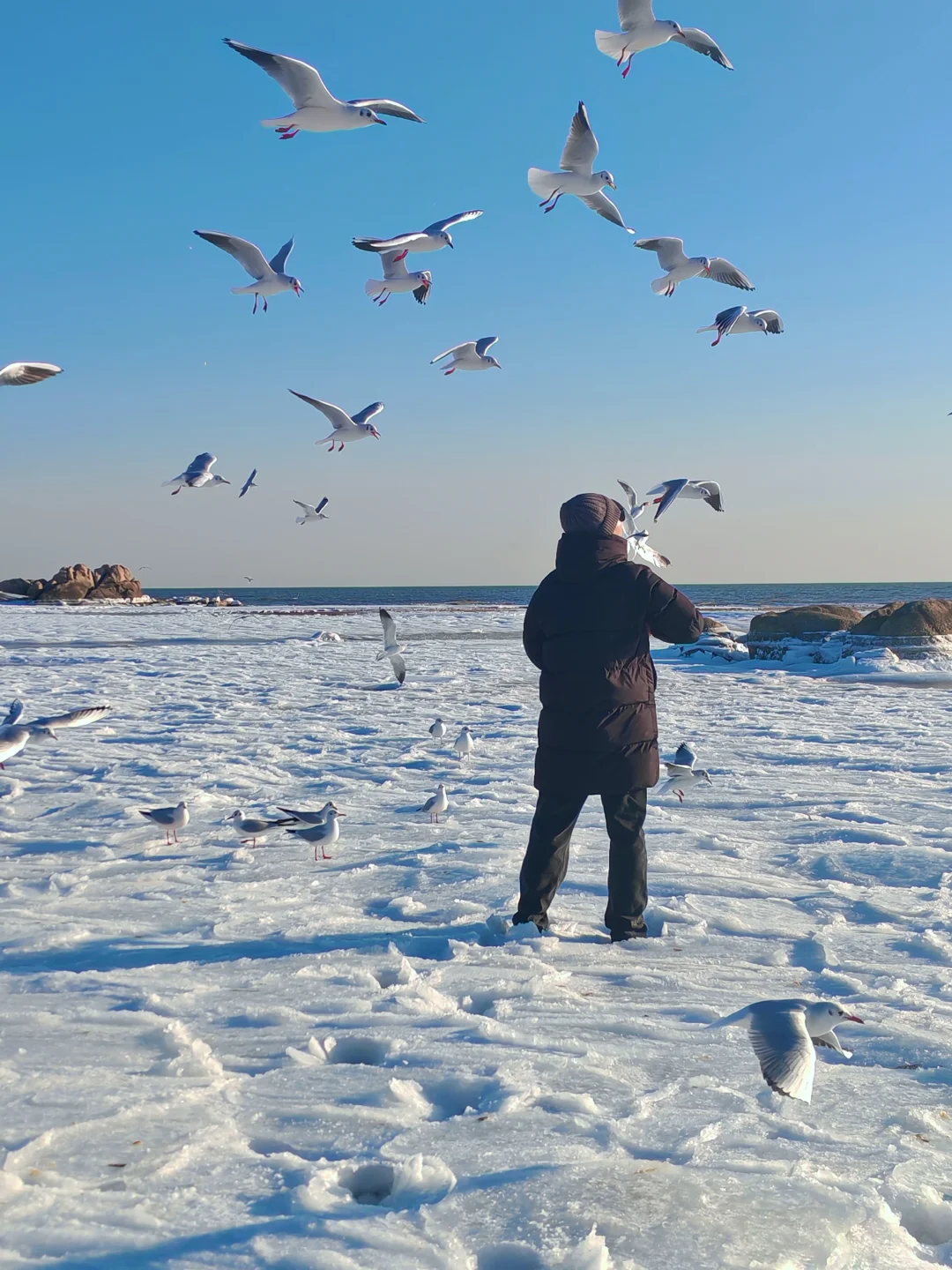 下个月一起去秦皇岛看冰河世纪‼️