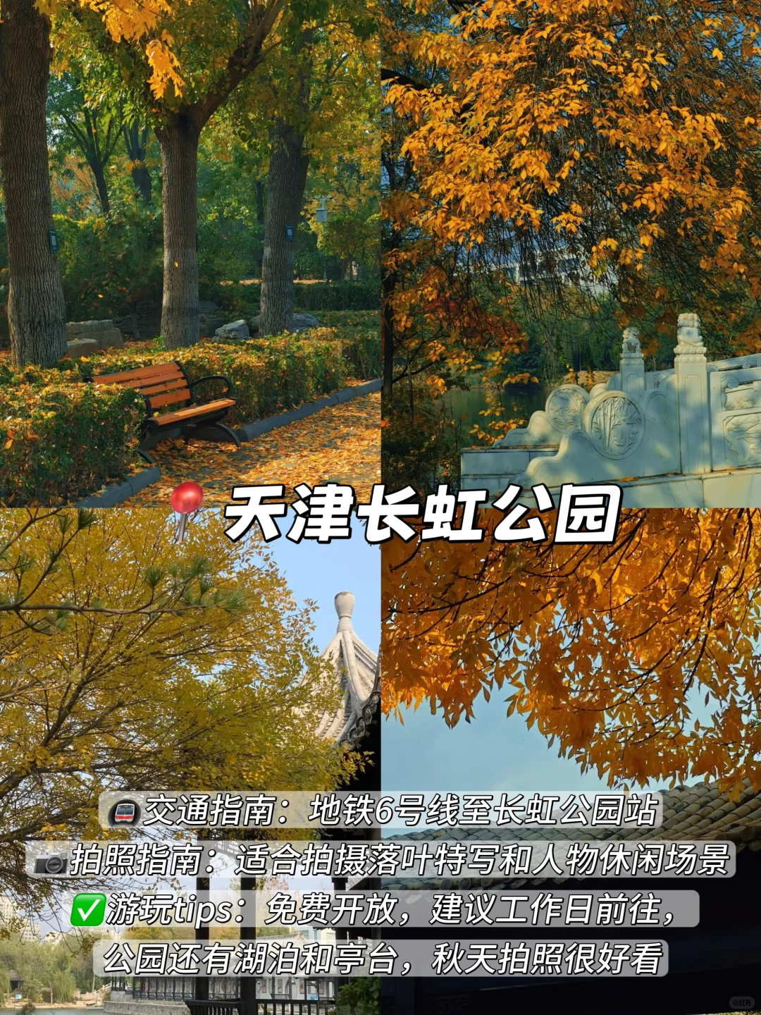 3年总结！天津秋天一定要去的9️⃣个地方！