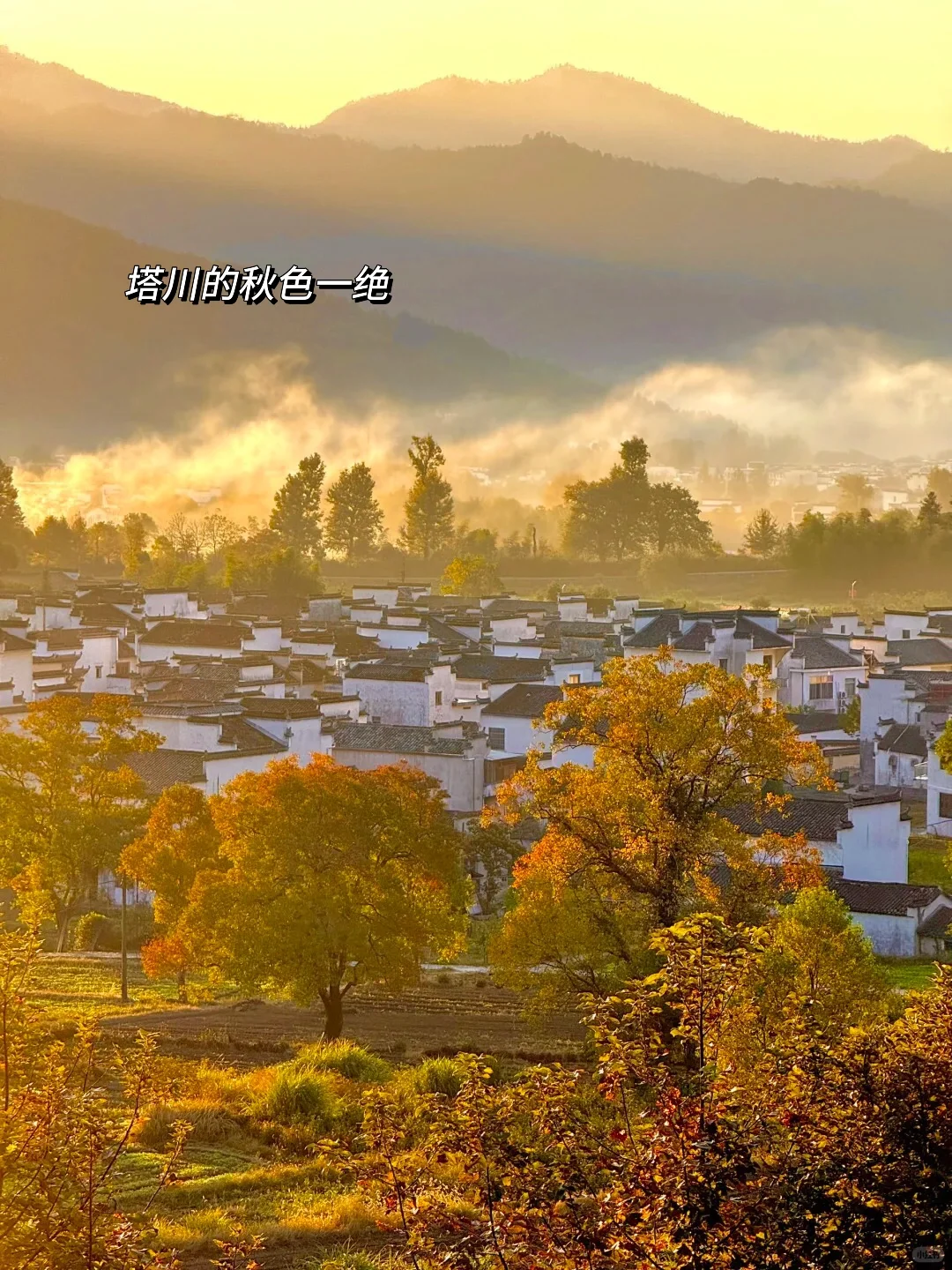 今年11~12月，只带娃去一个地方：徽州赏秋！🤩