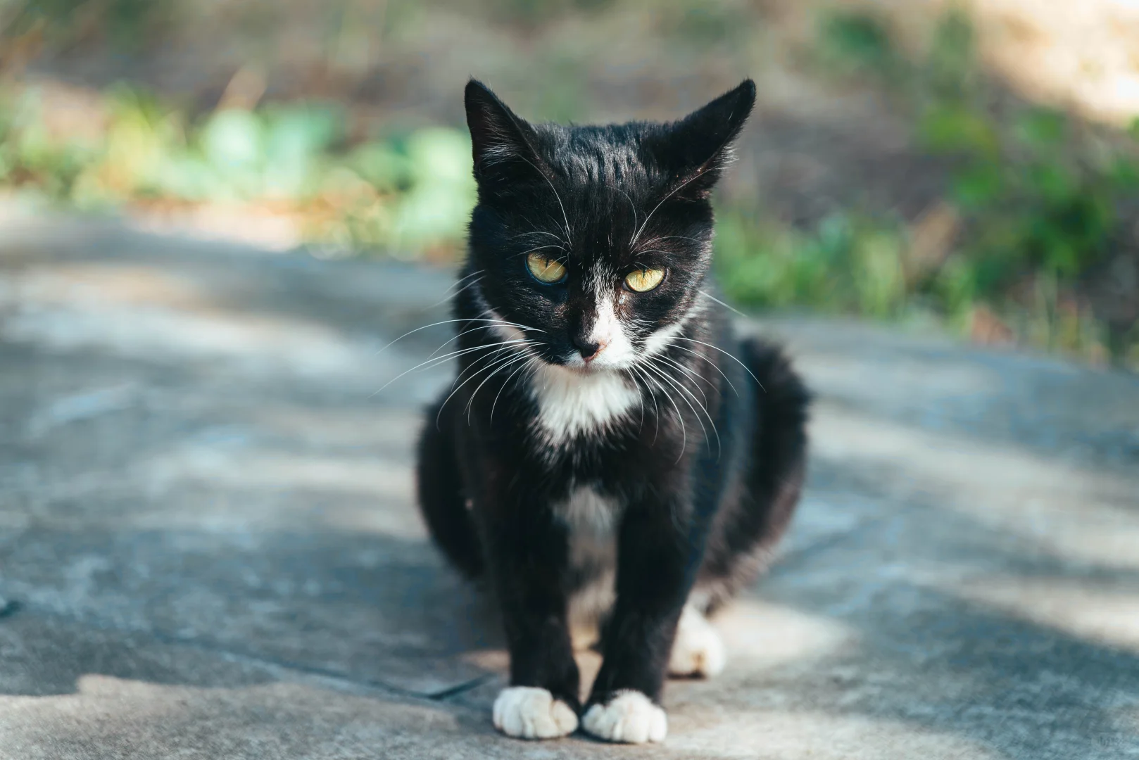 避暑山庄，不太值的5A景区