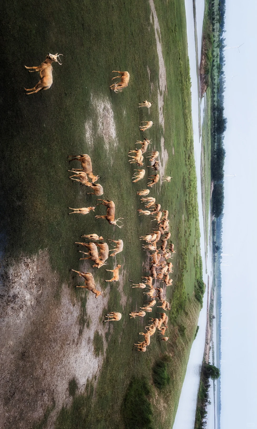 周末去了趟盐城，朋友都以为去了肯尼亚