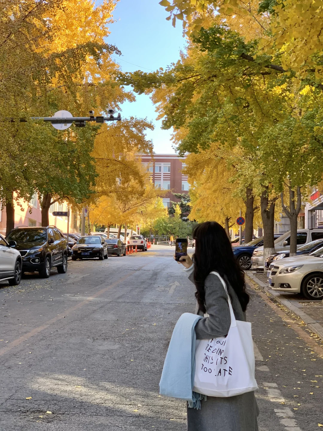 Live实况！来大连拍到了1️⃣8️⃣张人生照片！！