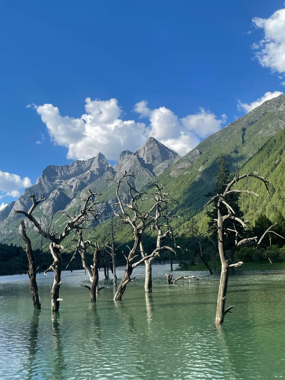 川西在我这里一直是top1的级别