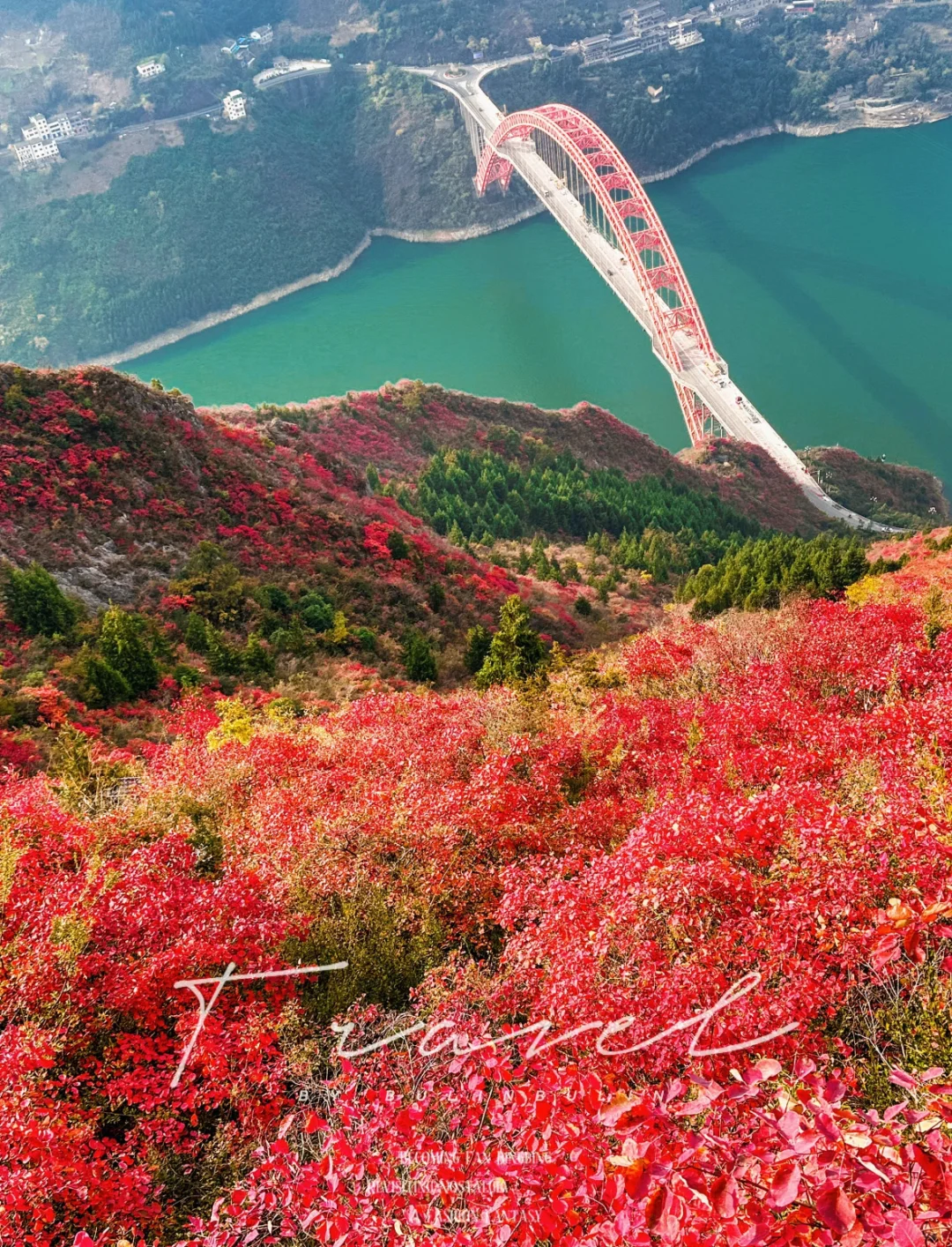 三峡红叶季封神！长江奇迹号游轮躺玩攻略