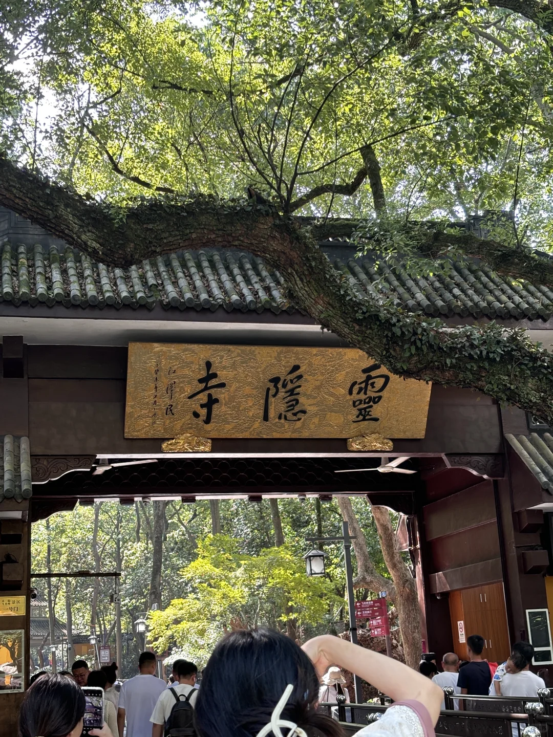 为了这1️⃣8️⃣张照片，特意去了一趟杭州…