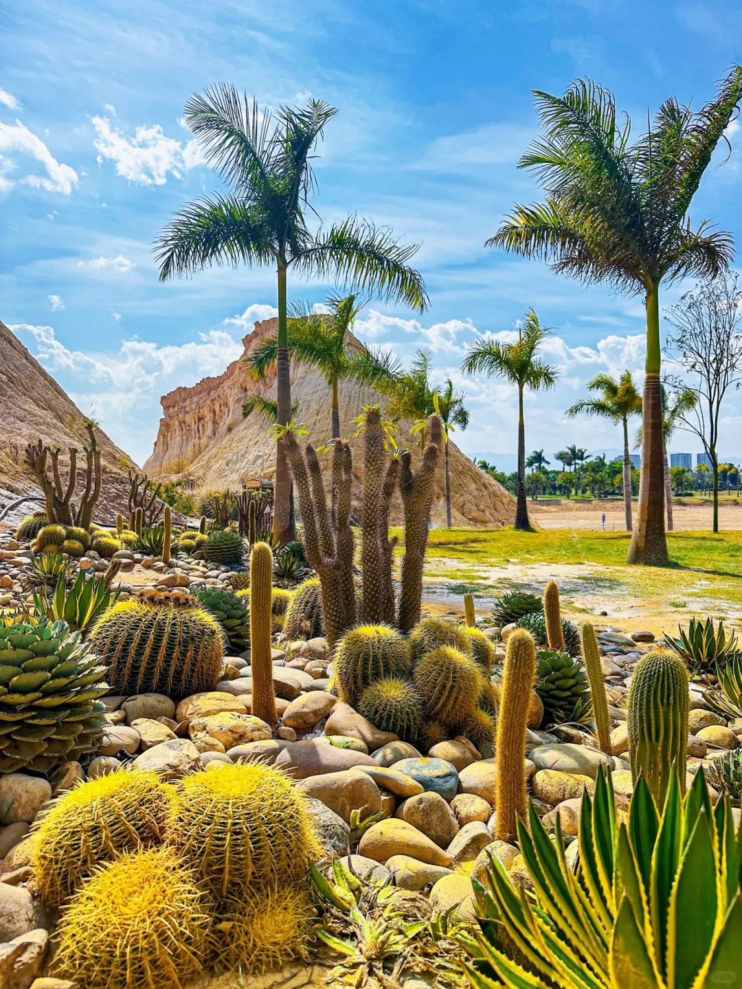 云南小众旅游地推荐✨人均1k+💰吃住全含