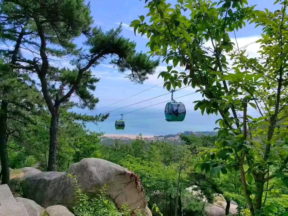 青岛5A景区--海上仙山崂山一日游