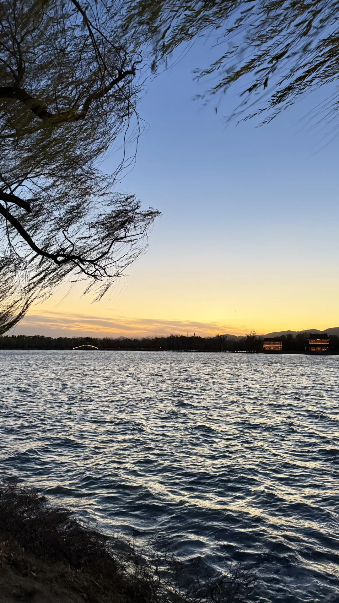 11.16的颐和园！美绝了