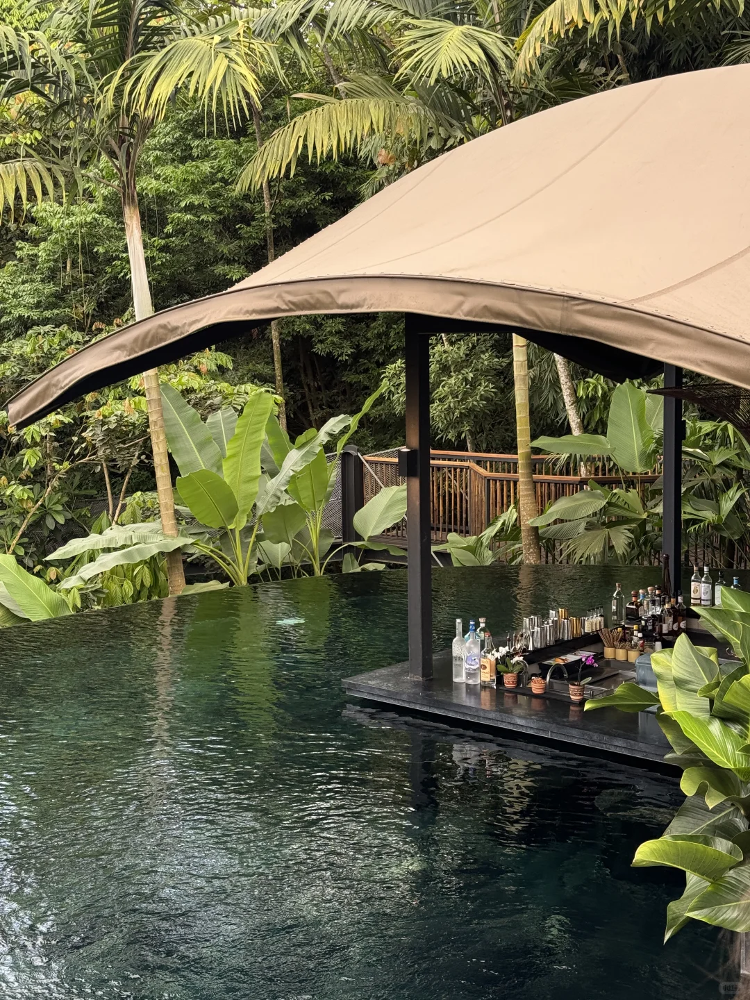 在哥斯达黎加住进了热带雨林是什么感受！