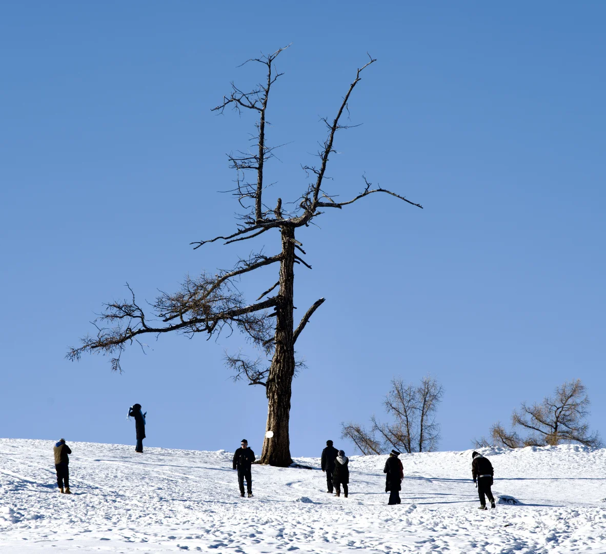 夕阳下的将军山、喀纳斯、白哈巴